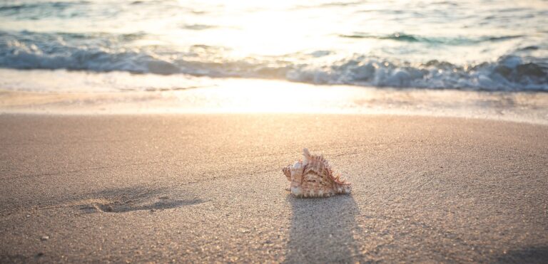 Romanticizing Your Summer