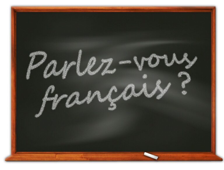 How to Learn French With Success! (From a French Immersion Student)
