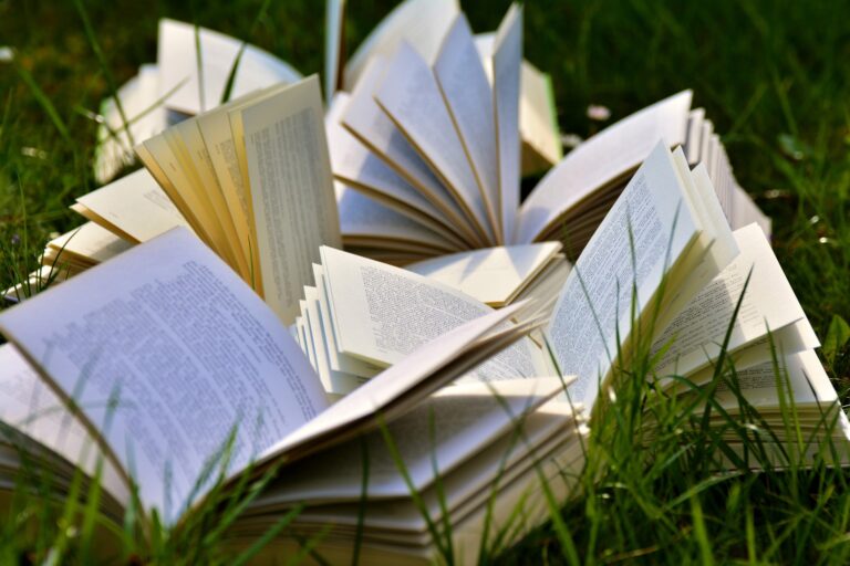 Top 25 Literary Novels for High School Students