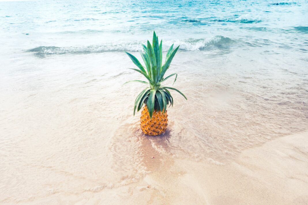 evi-radauscher-U_D5NWMmTTM-unsplash pineapple on sunny beach