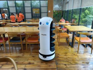 Robot plate collector