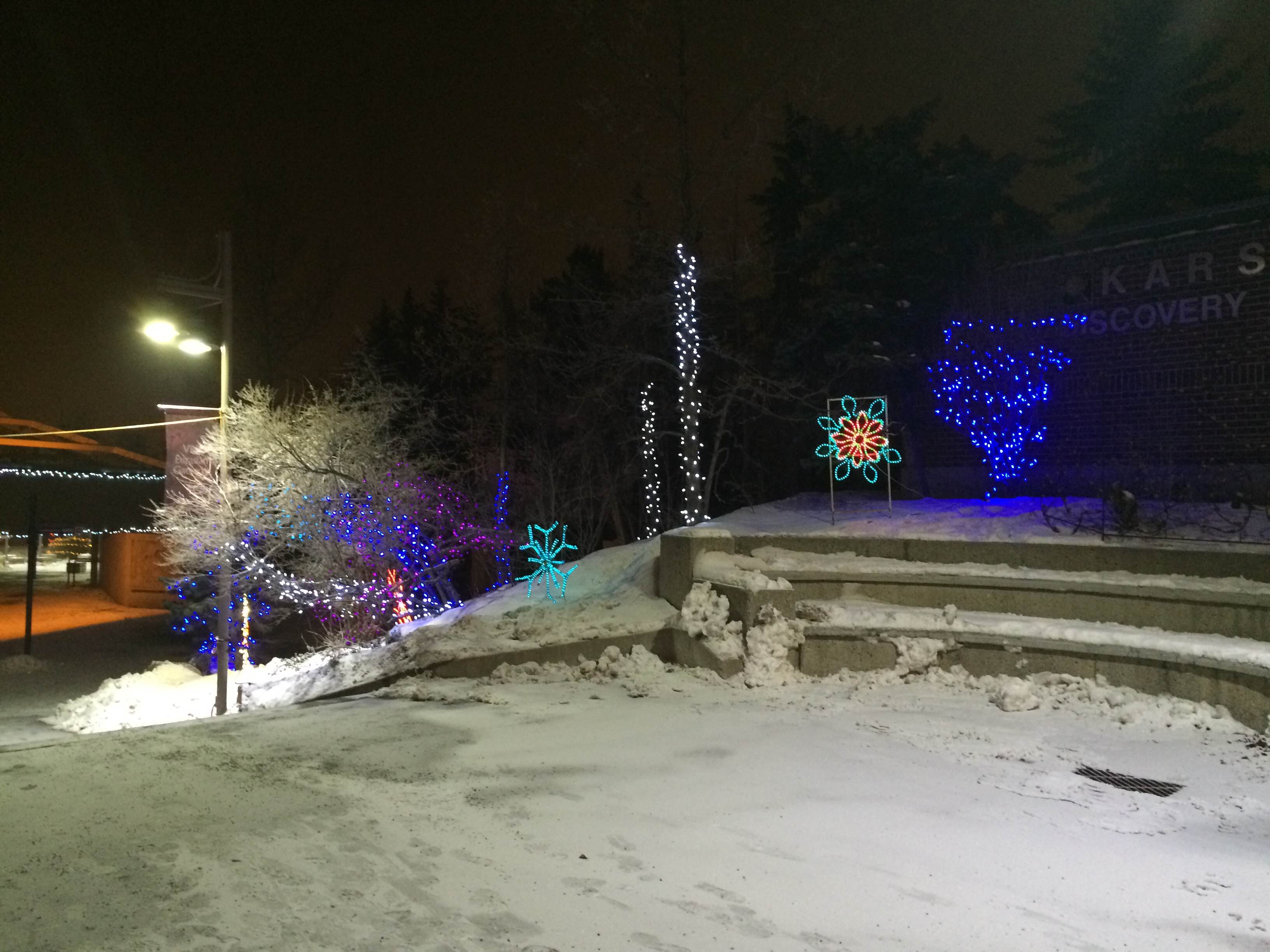 Calgary Zoolights 2014