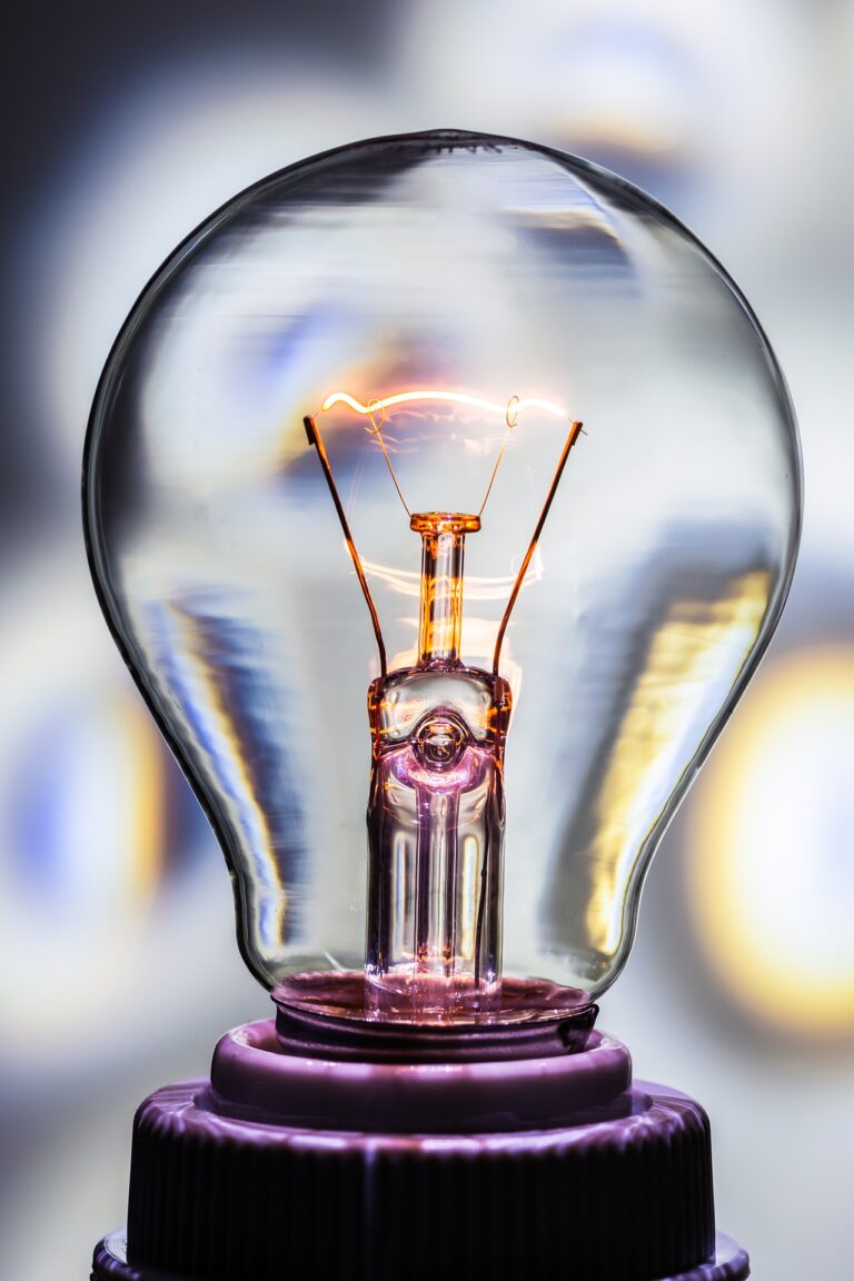 an incandescent light bulb