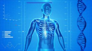 Human body with analytics next to it