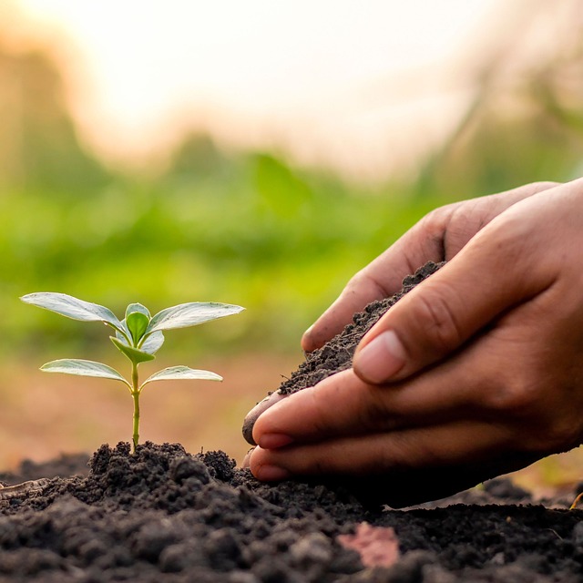 The Ground – A Poem