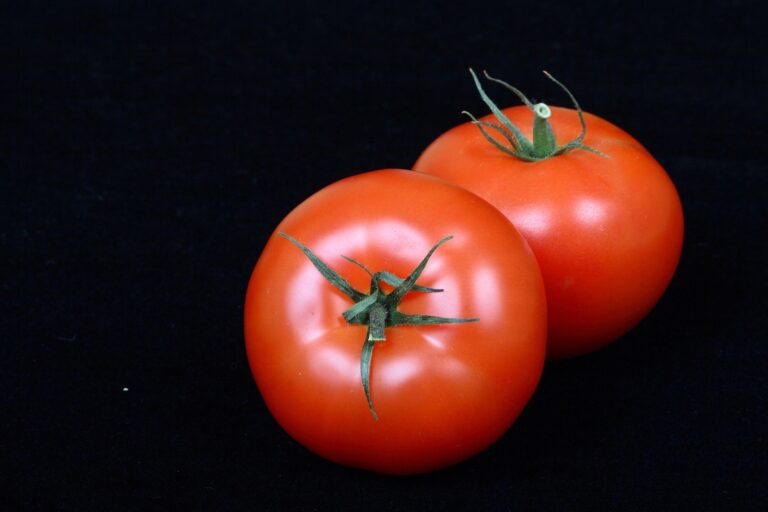 How to Make A Tomato Soup
