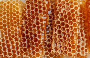 Very shiny looking yellow honey combs
