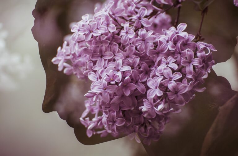 Silhouette of a woman with pink-purple flowers over it.