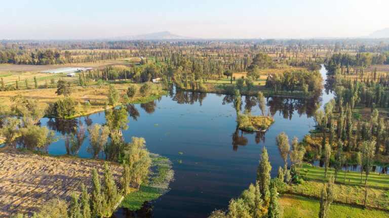 chinampas in water