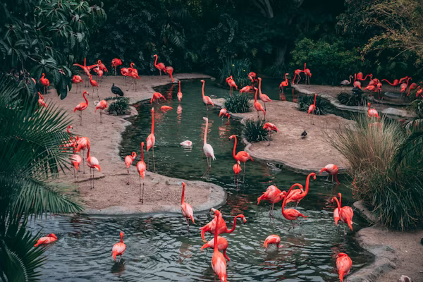 The Weirdest Facts You Didn’t Know About Animals